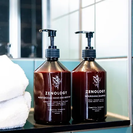 The Social Hub 3* 代夫特